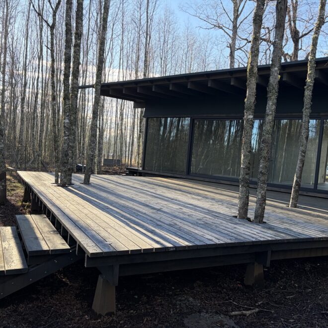 06_Terraza_Integrada_Bosque